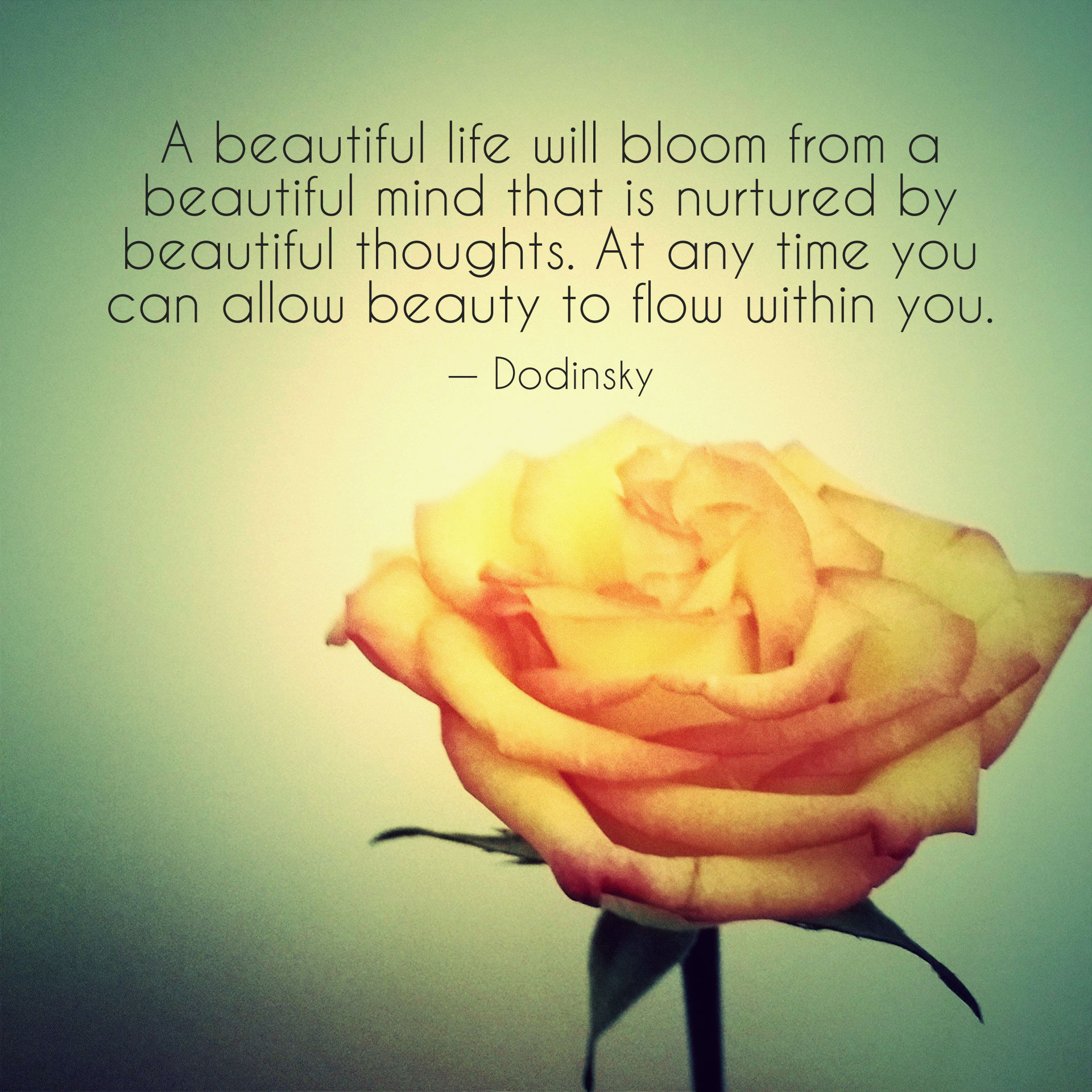 beautiful-mind